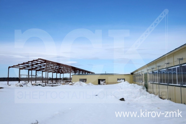 Коровник с доильно-молочным блоком