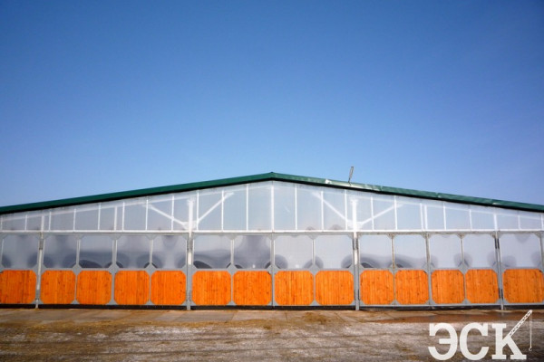 Навес для телят